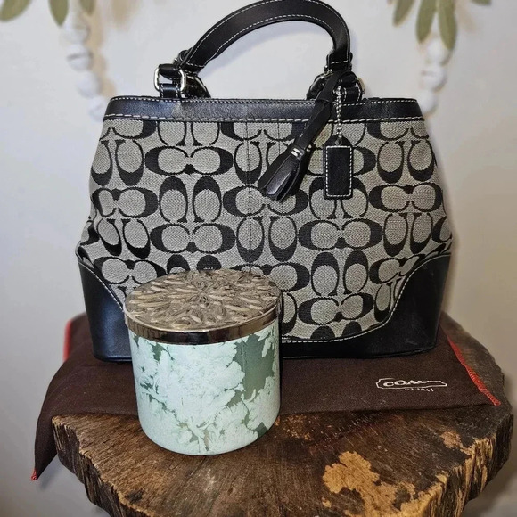 Coach Small Carryall Tote Bag Black Gray Signature Logo Canvas Leather 6830 - Picture 3 of 16